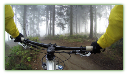 Cycling outdoors in forest