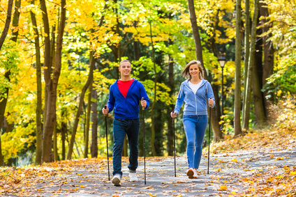 Two people walking in forest