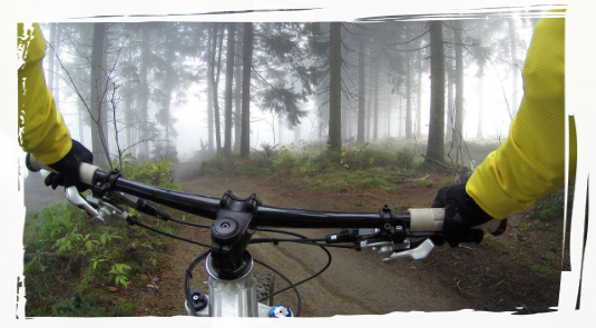 Person Cycling in forest