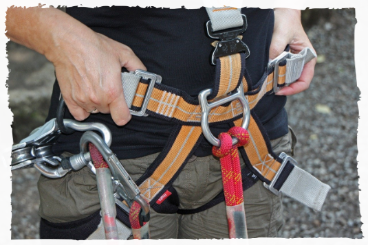 Climbing harness